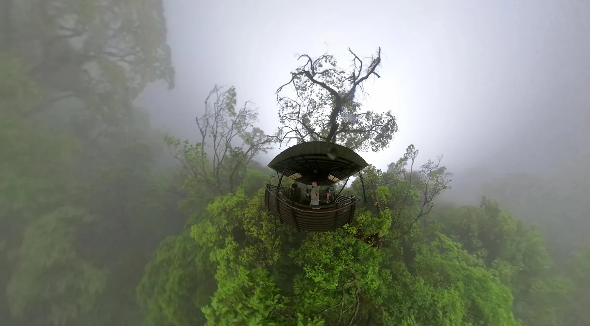 Sensorial Rainforest View en Oski Lodge